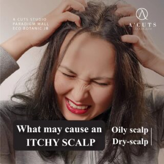 There are main two main causes for an itchy scalp: Oily scalp and Dry-scalp. 
 	 The itchiness caused by oily scalp is because the accumulation of 
 	 sweat, oil, dirt or dead scalp cells. When not cleansed thoroughly, 
 	 hair follicles will get clogged and the skin will react to it and 
 	 therefore scalp will react to itchiness. 
 	 There is no winter in tropical countries e.g. Malaysia or Singapore, 
 	 else the itchiness caused by dry-scalp could be worsen. 
 	 From our past experience, the main problem of dry scalp is due to 
 	 under-moisture (long office hours) or dandruff(skin issue). 
 	 Other factors such as over-shampoo, skin conditions, 
 	 stress or product allergy.
 	 Come and experience our services today!
 	 "Good hair days start at A Cuts Studio."
 	 #acutsstudio #paradigmmalljb #ecobotanic #organicproduct